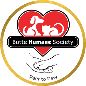 Event Home: Peer to Paw with BHS